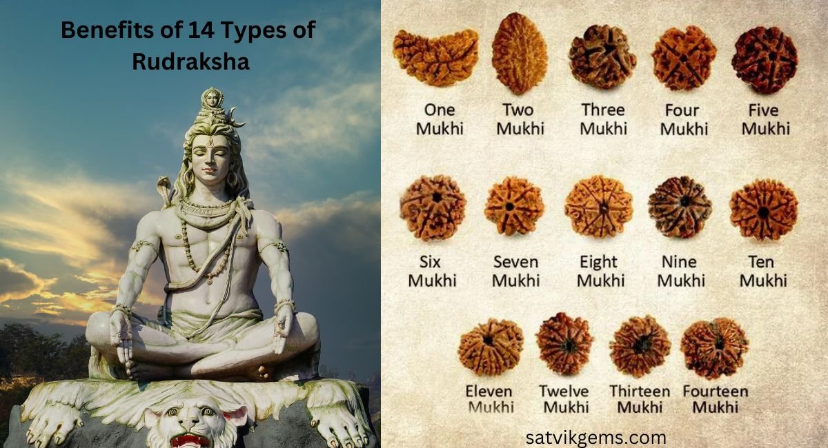 benefits of 14 types of rudraksha with Shiv Ji Idol