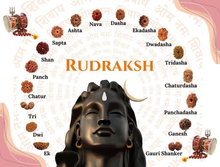 different faces mukhi of rudraksha with lord shiva idol