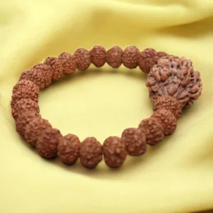 7 Mukhi Rudraksha Bracelet for Business Growth