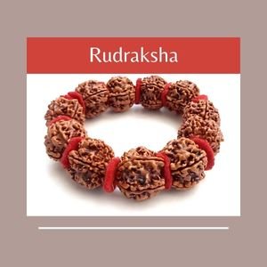 Rudraksha